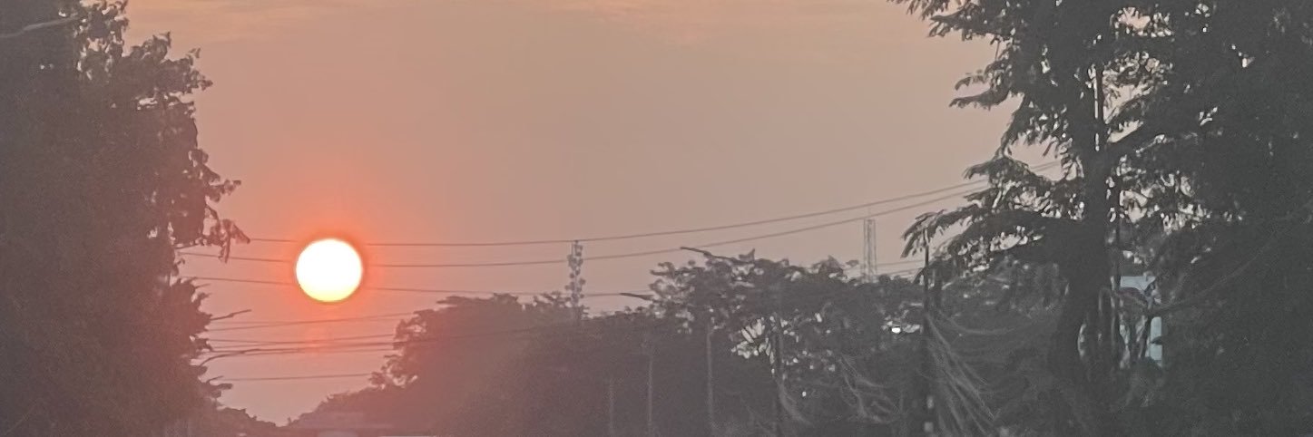 bien ࣪✦ ִֶָ ࣪ banner