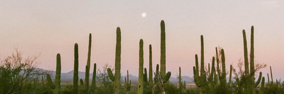 jacobdobbss's profile banner image