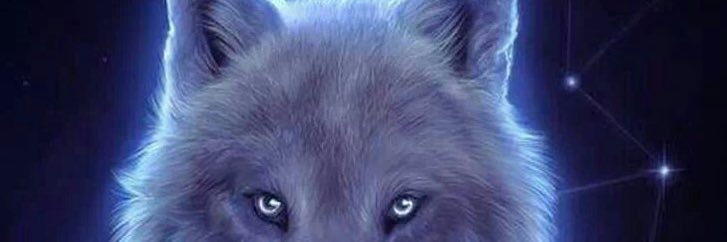 BlueWolf_Spirit's profile banner image