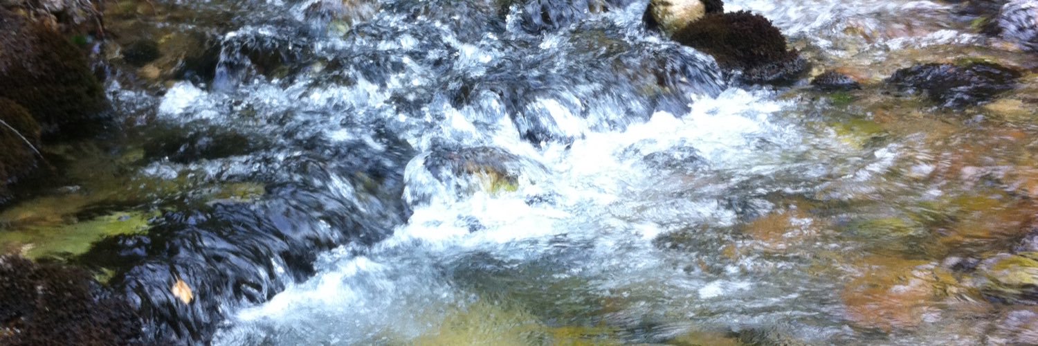 mst485's profile banner image