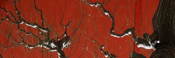 pathetic drawer man's banner