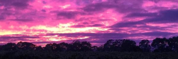 kellynoble Profile Banner