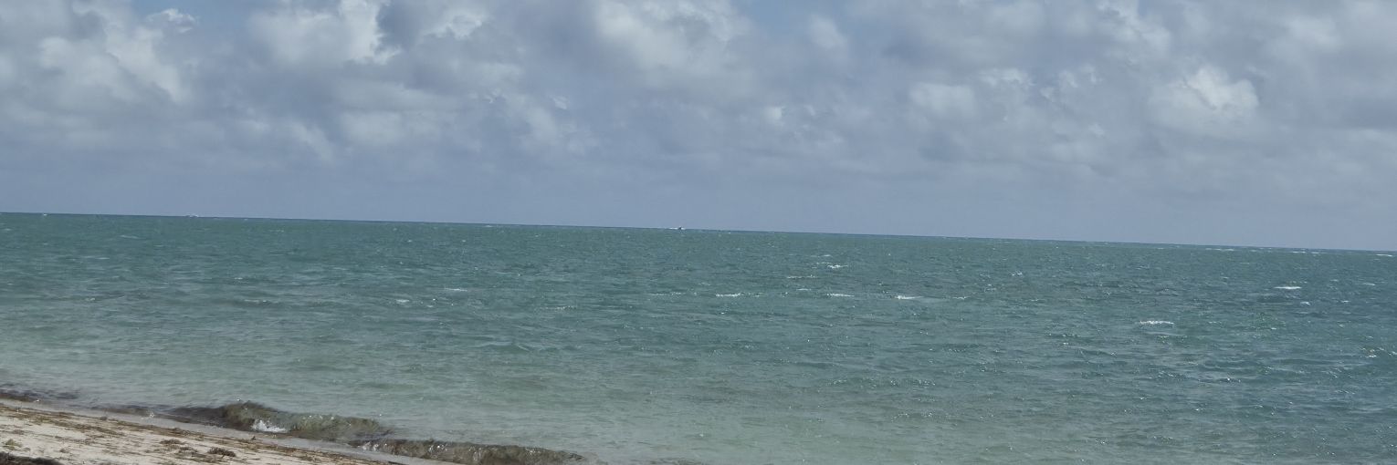 Juulietaaaaa's profile banner image
