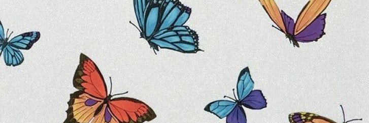 maayanloveslwt's profile banner image
