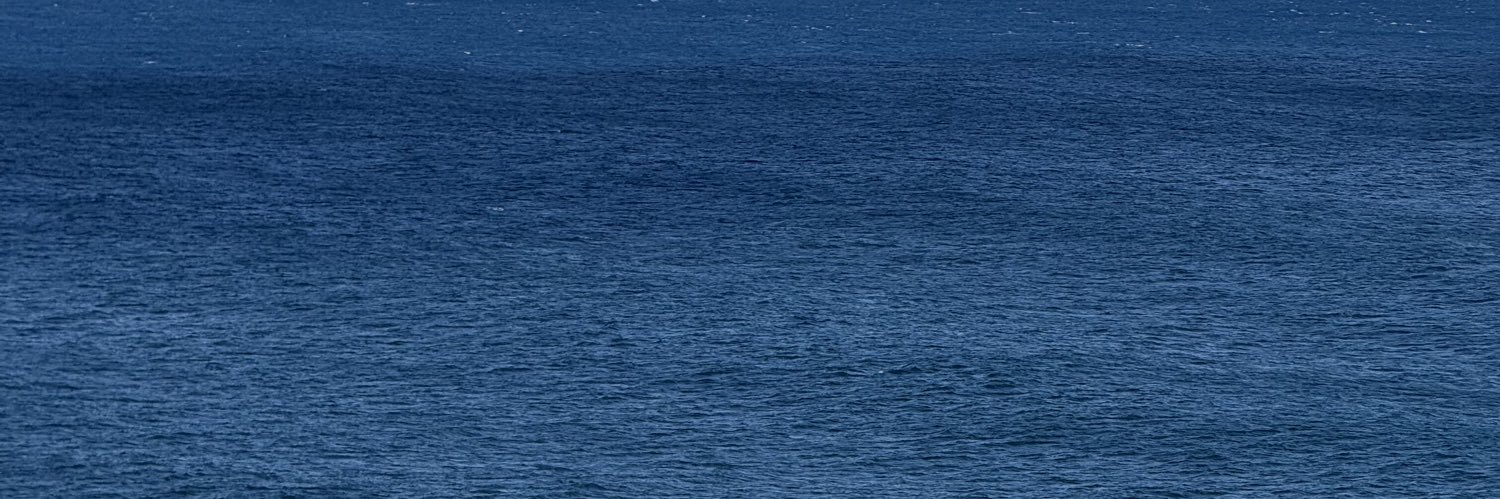 LFeyfant's profile banner image
