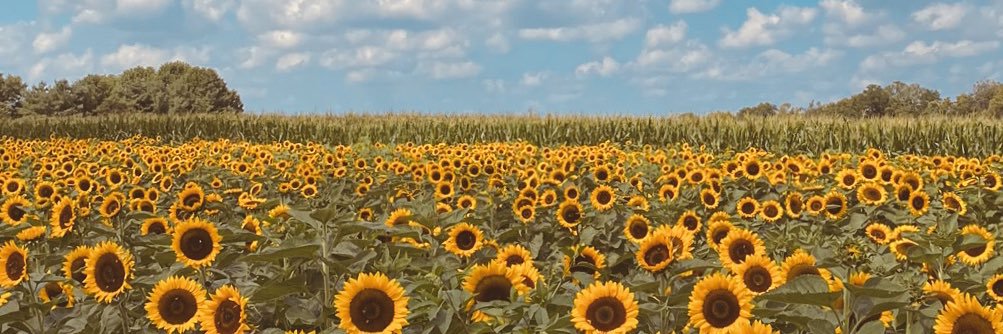 Madison Sands MD MS banner