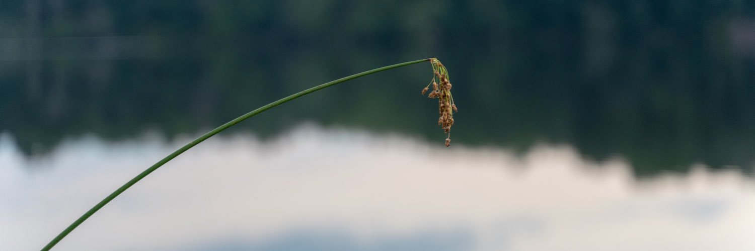 NateRowley's profile banner image