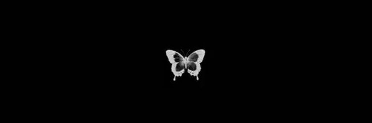 naellia_7bo banner