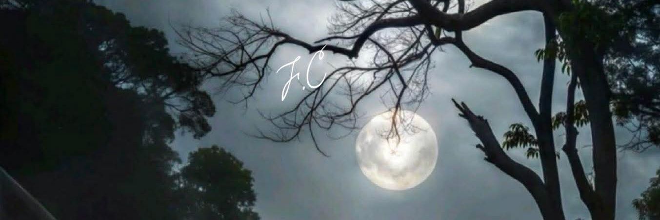 UYYAZAN's profile banner image