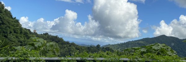 BrandonC12231 Profile Banner