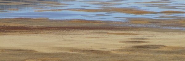 CrytzerFry Profile Banner