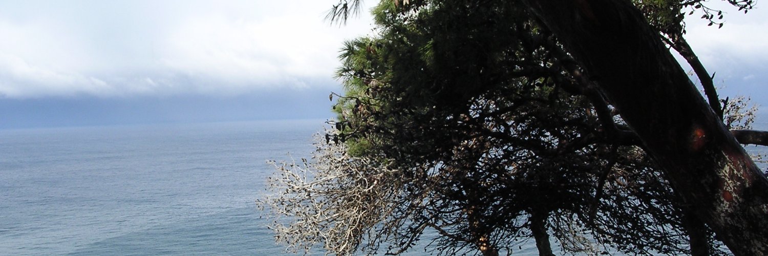 AMedchaabani's profile banner image