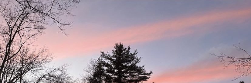 mickeymerz's profile banner image