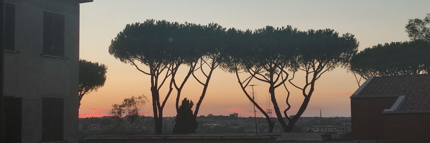 LaSaccente's profile banner image