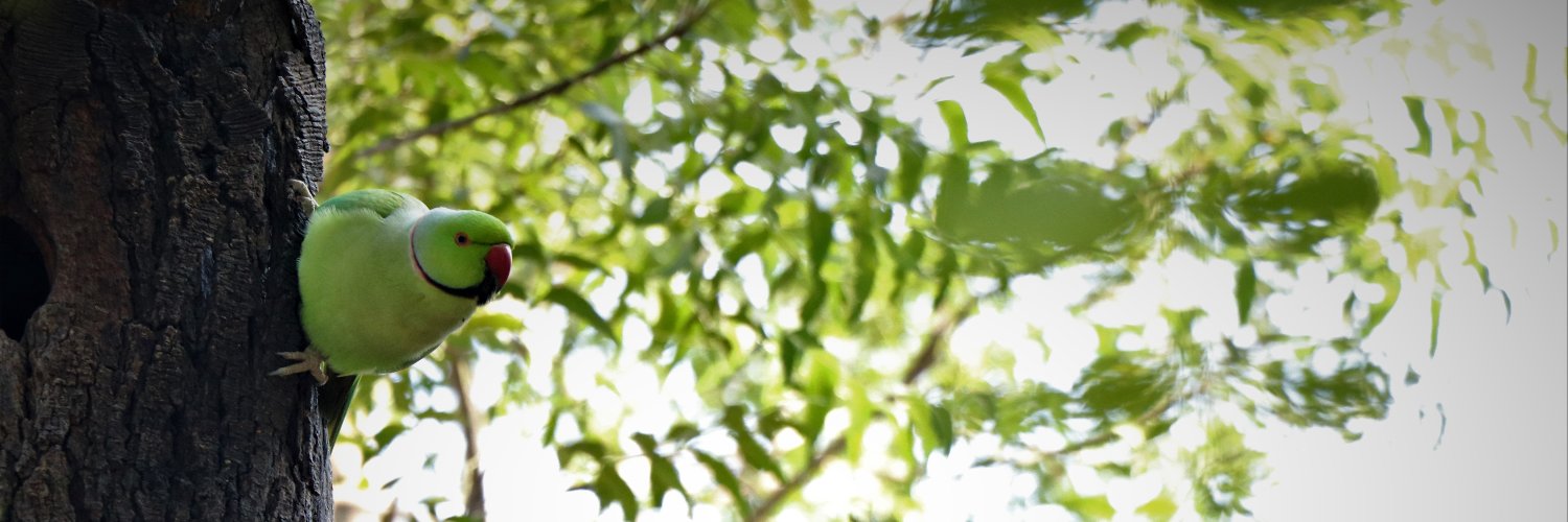 ronodeepghosh's profile banner image