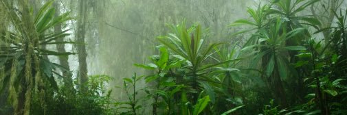 Khan the Guerrilla Gorilla banner