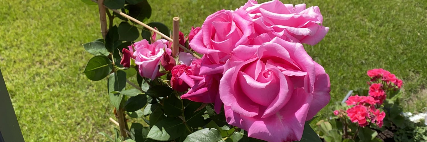 SSuskan's profile banner image