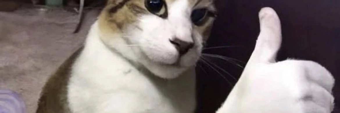 Gato but Kinnky (Birthday May 1st)🔞🇧🇷 banner