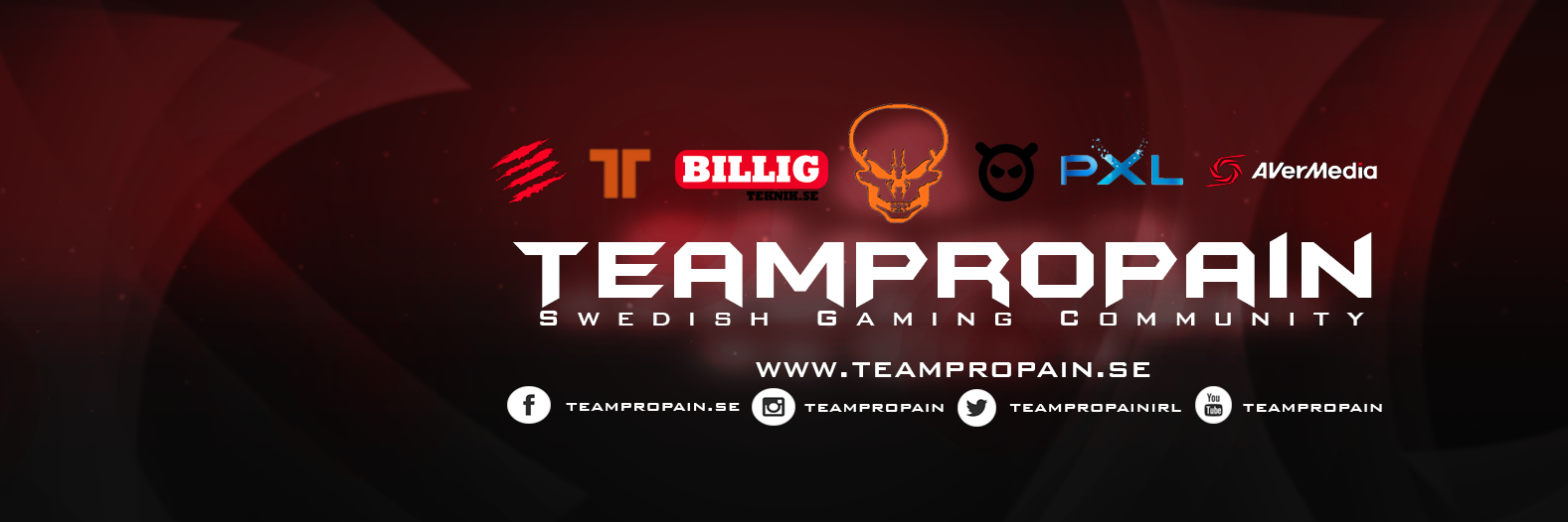 TeamProPainIRL's profile banner image