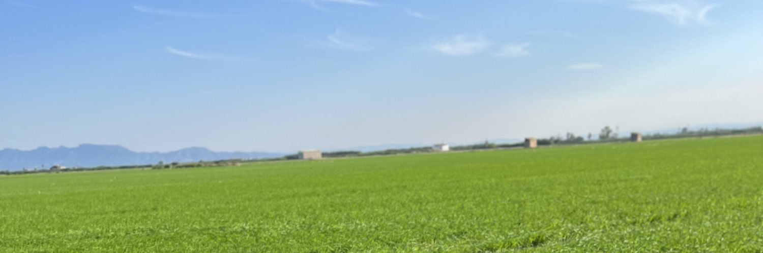juliacerrillo_'s profile banner image
