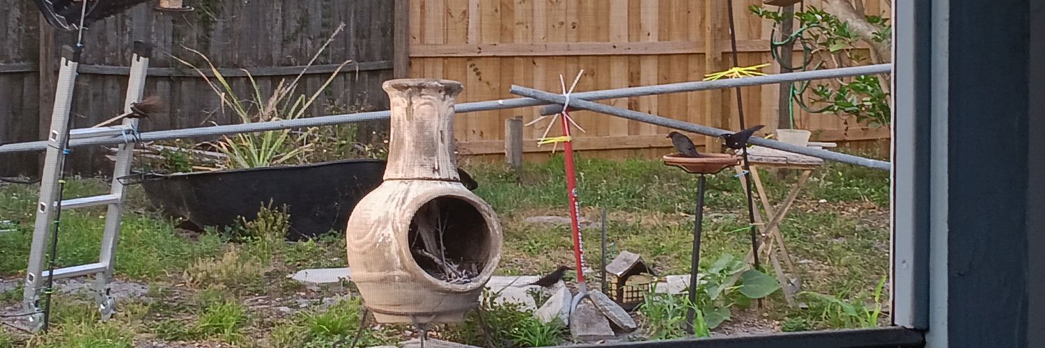 Jason L. O'Hara banner