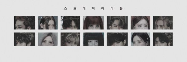 StrayIDLE Profile Banner