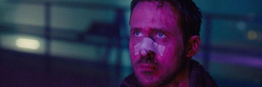 Mateus Fernandes banner