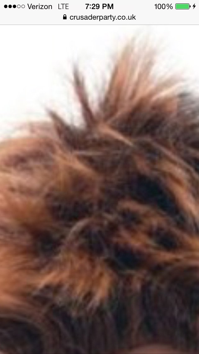 CravenAcoldone's profile banner image