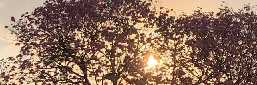 67_nego's profile banner image