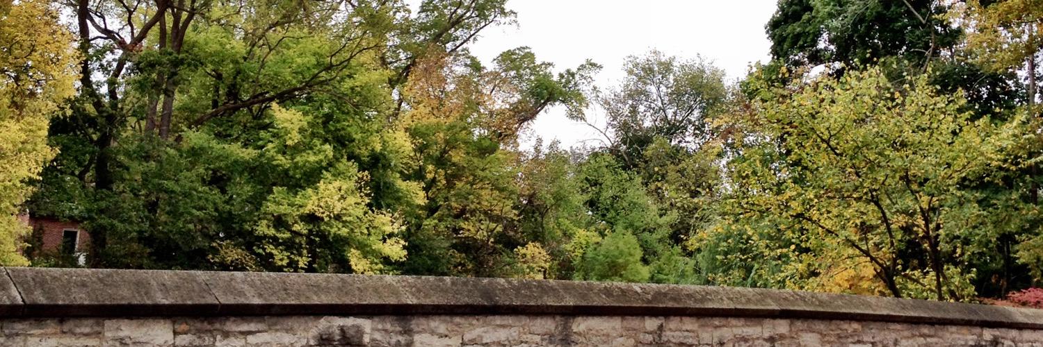 Ohheywilderness's profile banner image
