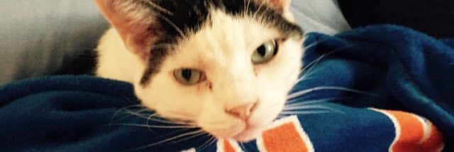 Mrs_Diffle's profile banner image