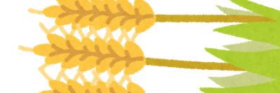 orehamugino's profile banner image