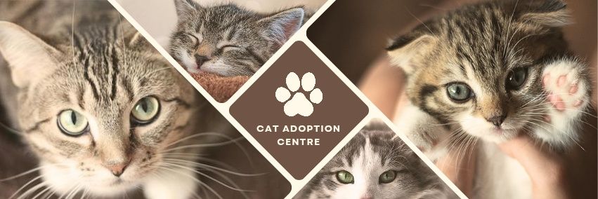 ゆいまーる🦄🐈‍⬛💖 banner