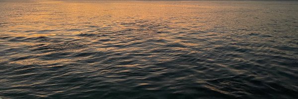 binnooto Profile Banner