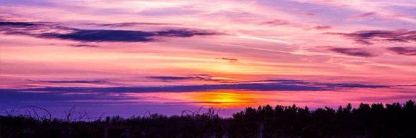 speckertj Profile Banner