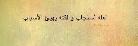 Hasnaa Mostafa banner