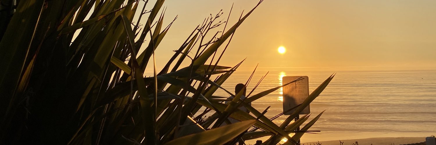 RapidDevin's profile banner image