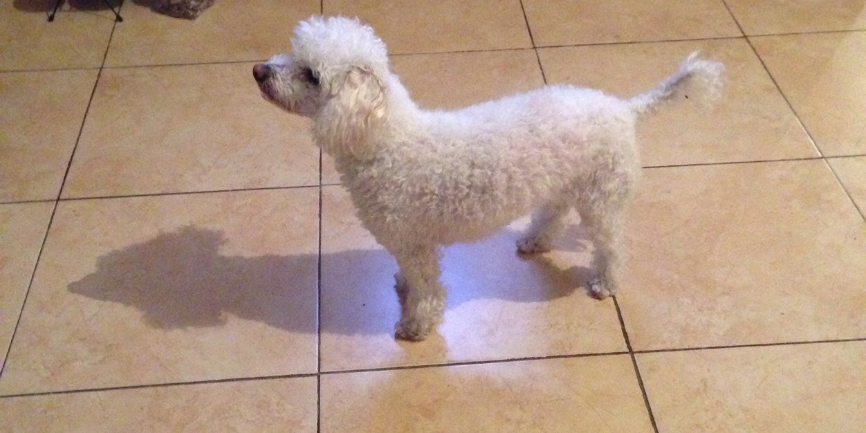 Angie 🖤👽🖤 banner