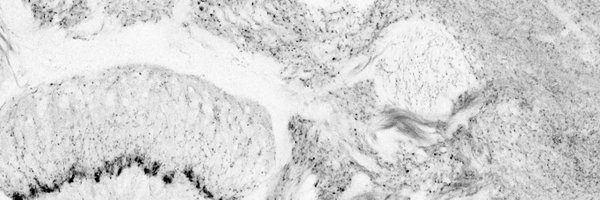 max_farnworth Profile Banner