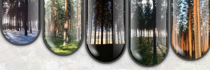 Ziv Reich's lab banner