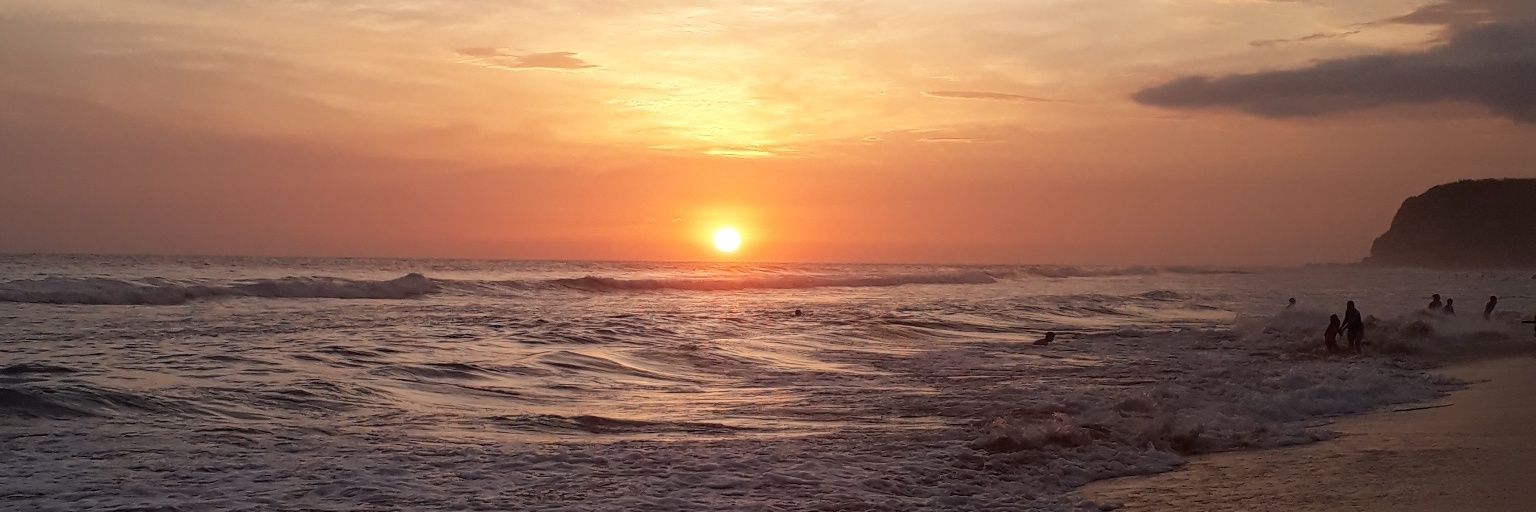 erika_orso's profile banner image