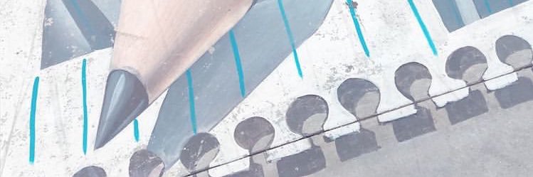 dellacquafede's profile banner image