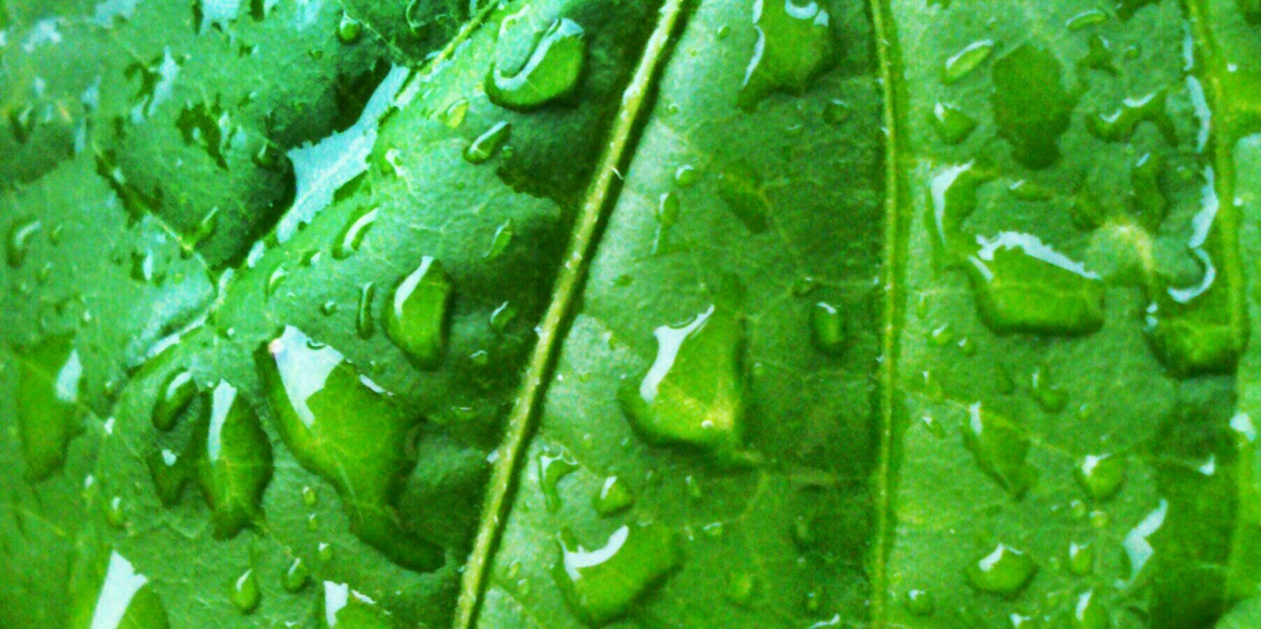 dolorsramirezp's profile banner image