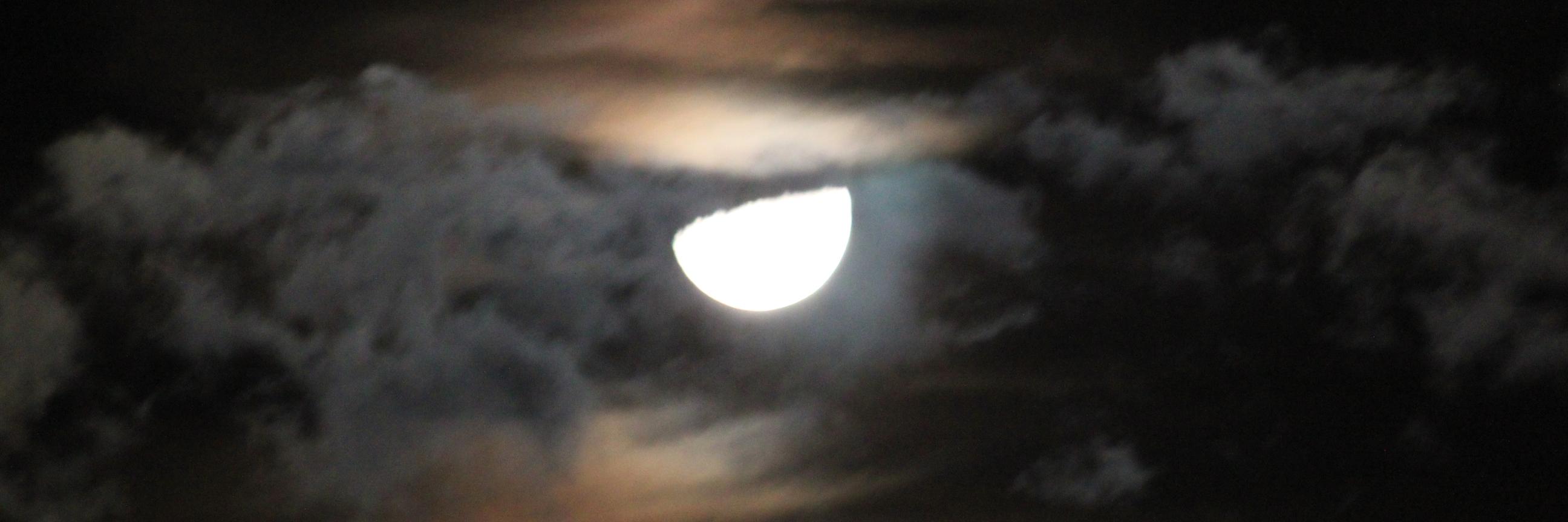 Jeffrey Davis banner