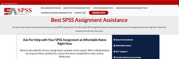 SPSSAssignment Profile Banner