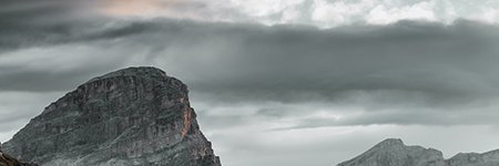coinfreedev's profile banner image