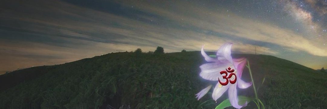 Elo (كم ثمن) banner