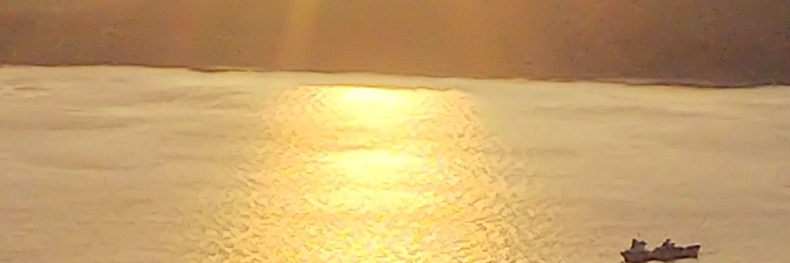 t_dolce89's profile banner image