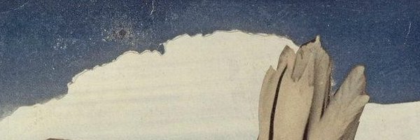 borameraj Profile Banner