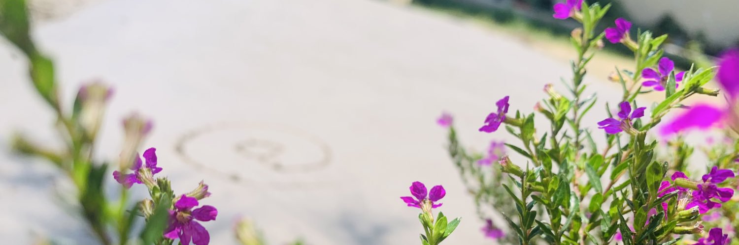 Tmx_0001's profile banner image